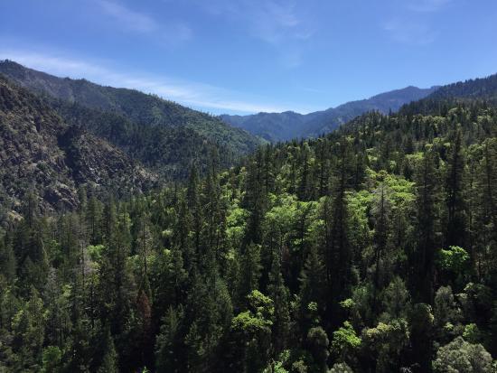 Six Rivers National Forest